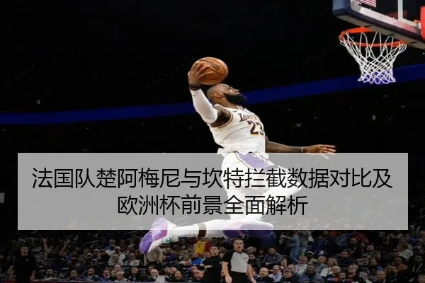 法国队楚阿梅尼与坎特拦截数据对比及欧洲杯前景全面解析