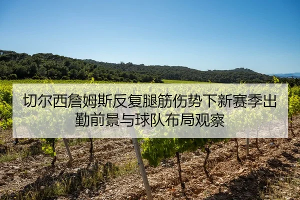切尔西詹姆斯反复腿筋伤势下新赛季出勤前景与球队布局观察