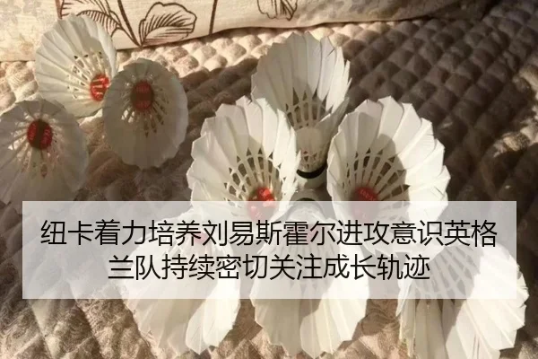 纽卡着力培养刘易斯霍尔进攻意识英格兰队持续密切关注成长轨迹